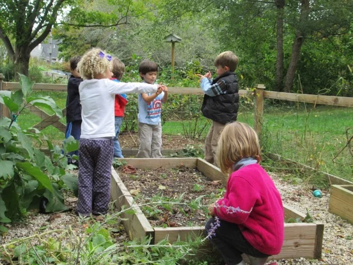 Children learning in the school garden raised beds