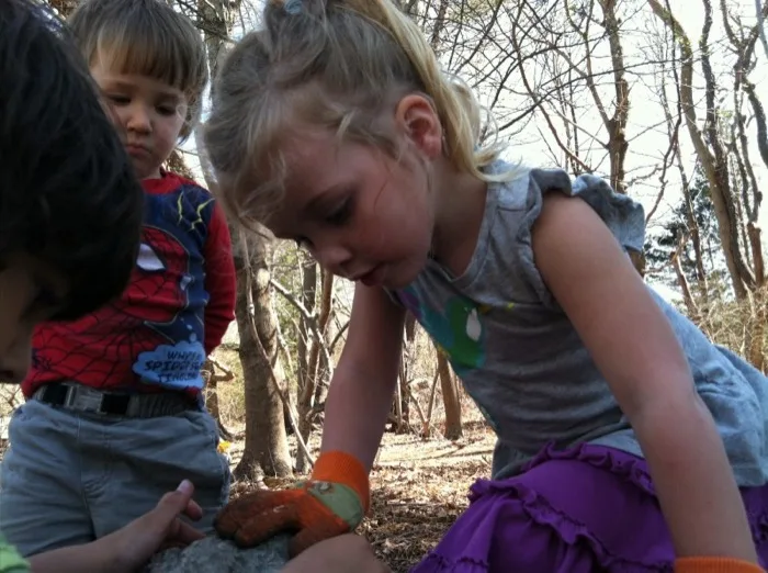 Children examining nature together in the woods